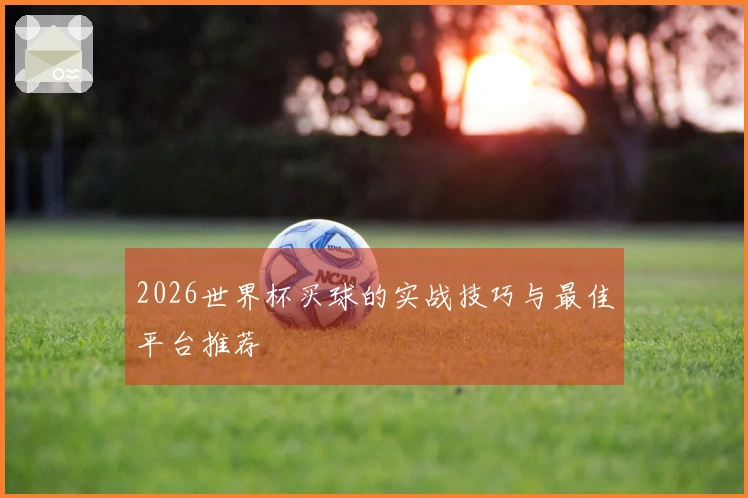 2026世界杯买球的实战技巧与最佳平台推荐