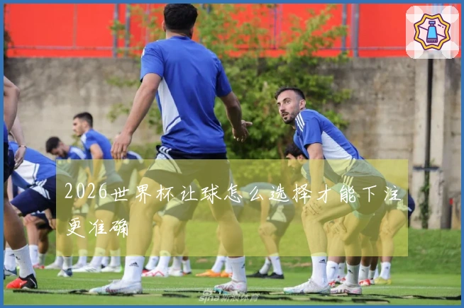 2026世界杯让球怎么选择才能下注更准确