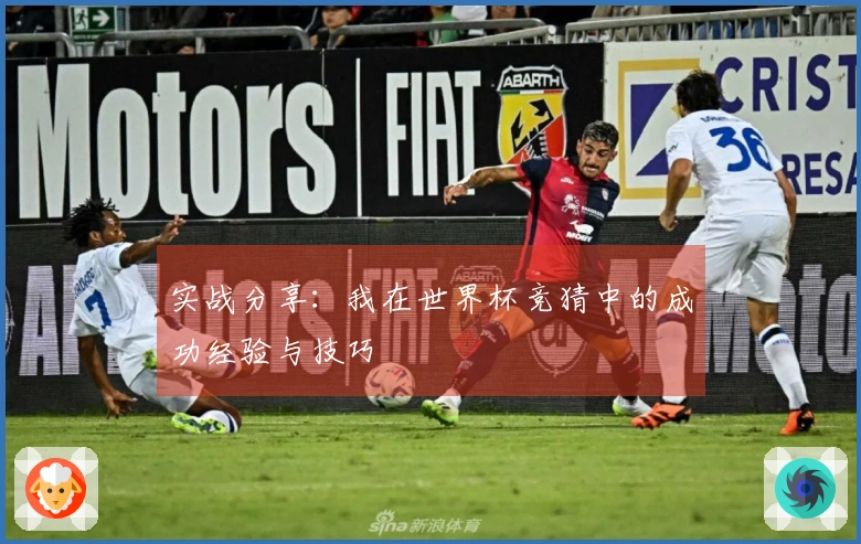 实战分享：我在世界杯竞猜中的成功经验与技巧