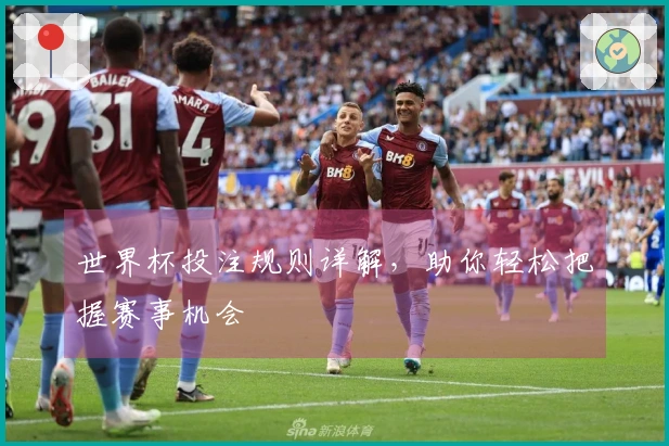世界杯投注规则详解，助你轻松把握赛事机会