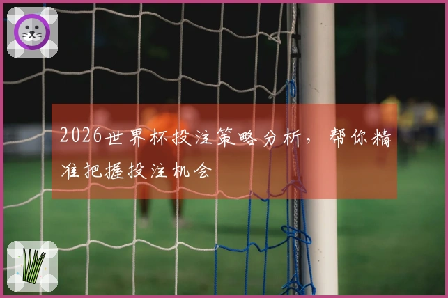 2026世界杯投注策略分析，帮你精准把握投注机会