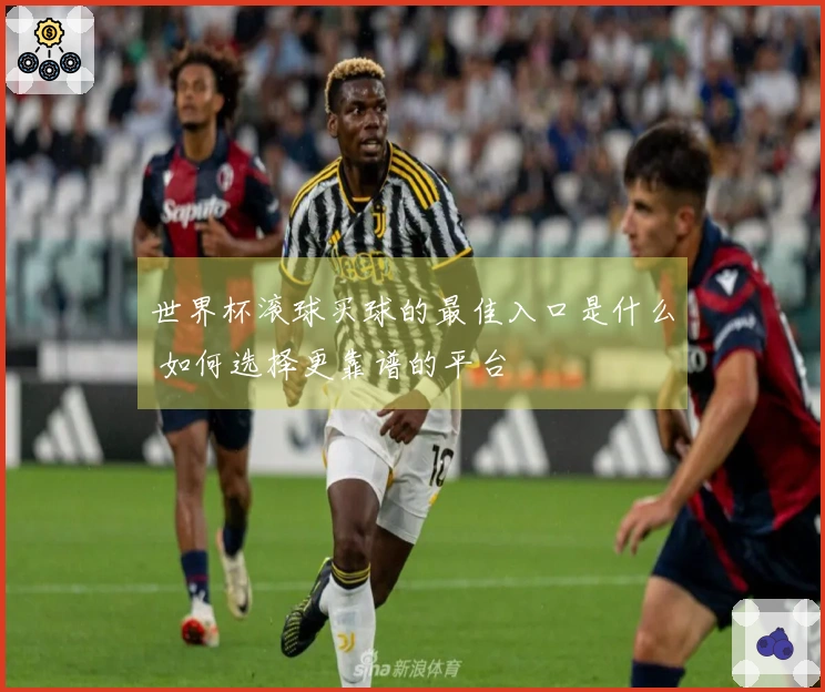 世界杯滚球买球的最佳入口是什么 如何选择更靠谱的平台