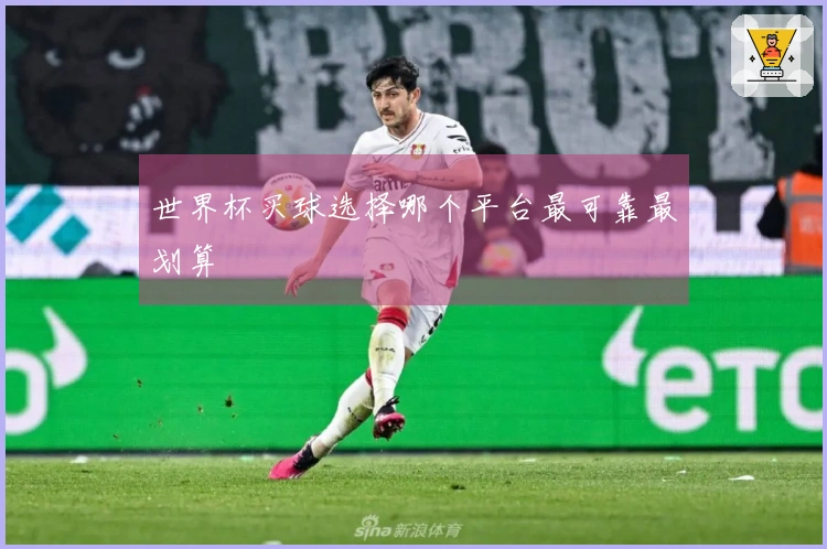 世界杯买球选择哪个平台最可靠最划算