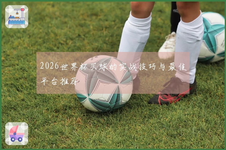 2026世界杯买球的实战技巧与最佳平台推荐