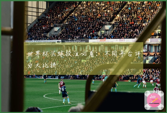 世界杯买球投注必看：不同平台评分大比拼