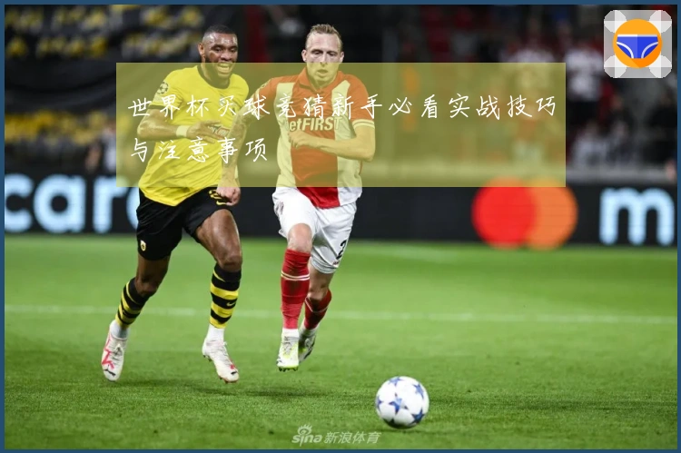 世界杯买球竞猜新手必看实战技巧与注意事项